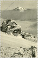 rax, ottohaus rax, ottohaus