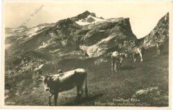 naafskopf, pfälzer hütte am bettlerjoch