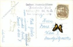 würflach, johannesbachklamm