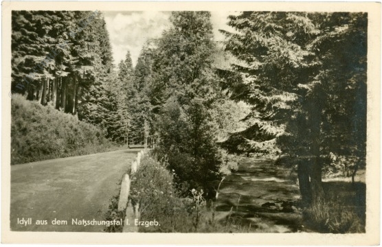 rübenau, natzschungtal, erzgebirge, idyll