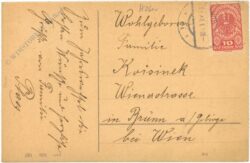 neujahr, glücksklee im korb