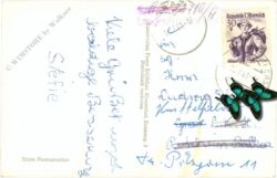 sekirn, am wörthersee, ferienheim sonnenland der kinderfreunde