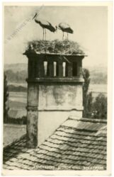 jennersdorf, storch idyll