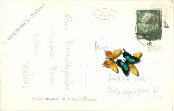 jennersdorf, storch idyll