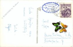 weißensee, jausenstation dolomitenblick, motorboothaltestelle: ostufer