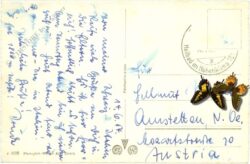 st. moritz, mit languardkette