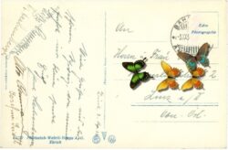 zürich, und die alpen