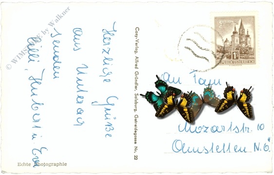 unterach am attersee, ansicht