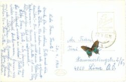 albrechtsberg an der krems, ortsansicht