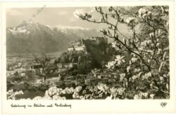 salzburg, in blüten mit untersberg