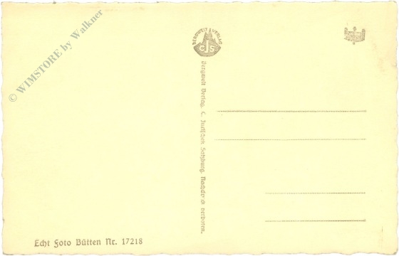 salzburg, staatsbrücke