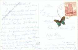 wien 19, confraternität halle