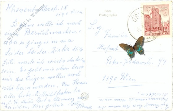 wien 19, confraternität halle