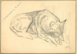 hund hund
