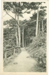 baden, alexandrowitsch anlagen