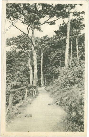 baden, alexandrowitsch anlagen