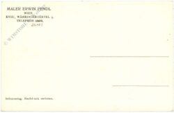 wien, vogelschauansicht von wien, nach einem original von erwin pendl