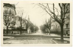 wien 18, dittesgasse