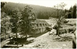 kirchberg am wechsel, steyersberger alpe
