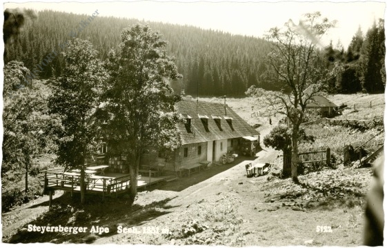 kirchberg am wechsel, steyersberger alpe