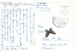 niederaula, ortsansicht