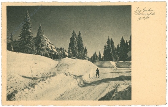 weihnachten, langläufer