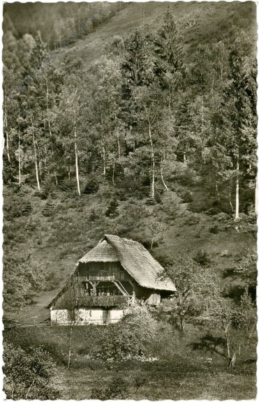 schwarzwaldspeicher im wolftal schwarzwaldspeicher im wolftal