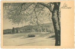 weihnachten, verschneite landschaft