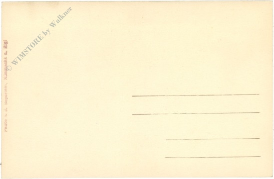 küssnacht, ortsansicht