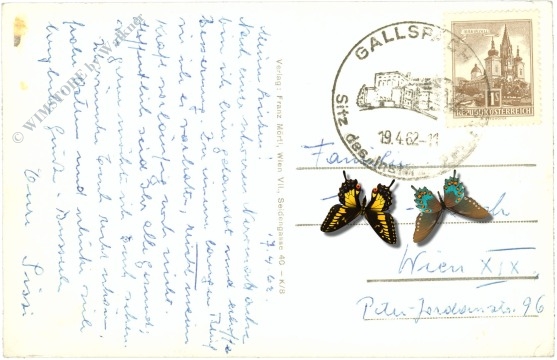 gallspach, institut zeileis, multiansicht