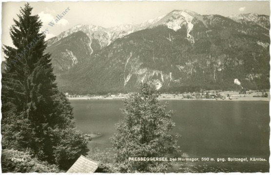 hermagor, presseggersee gegen spitzegel