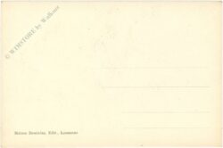 lausanne, narzissenfeld