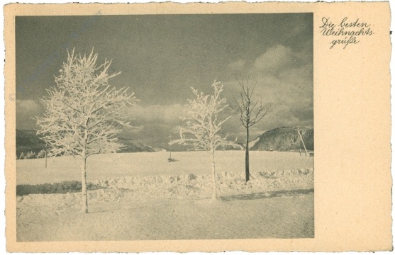 weihnachten, frostige bäume