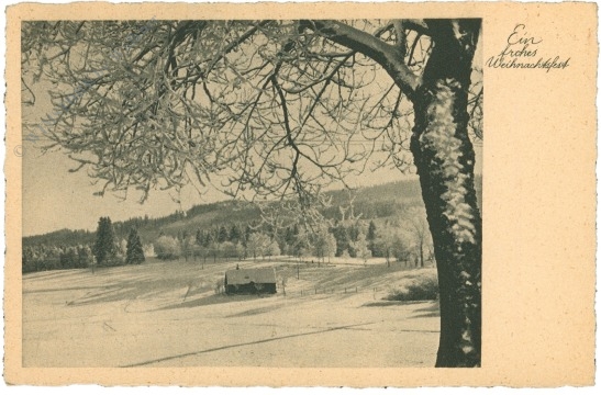 weihnachten, verschneiter waldrand