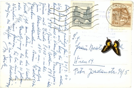 hermagor, presseggersee seewirt mit spitzegel