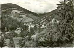 waldbach, ortsansicht