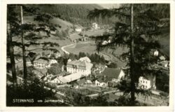 steinhaus am semmering, ortsansicht