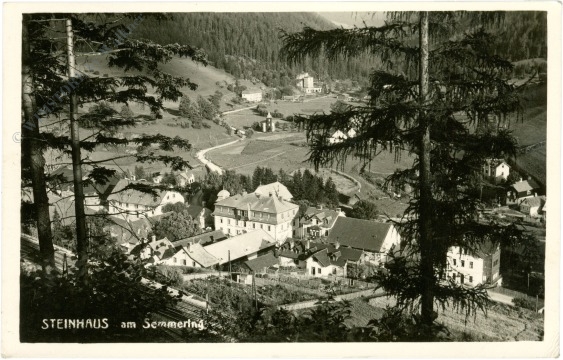 steinhaus am semmering, ortsansicht steinhaus am semmering, ortsansicht