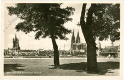 köln, vom rheinischen museum