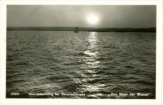 neusiedlersee, abendstimmung