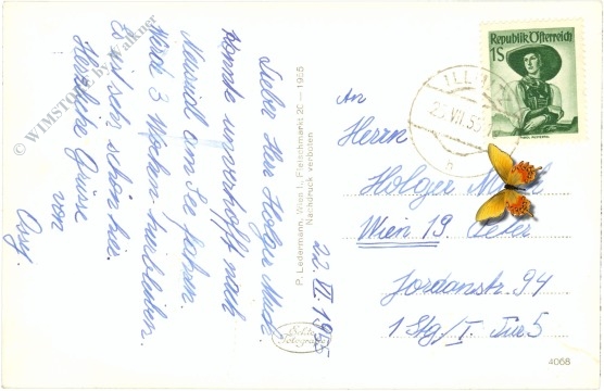 neusiedlersee, abendstimmung