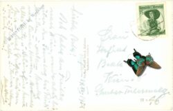 kufstein, gegen das kaisergebirge