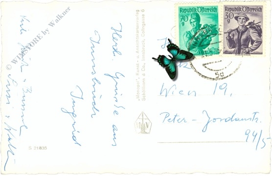 innsbruck, maria theresienstrasse mit nordkette