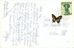 saalbach hinterglemm, altachhof