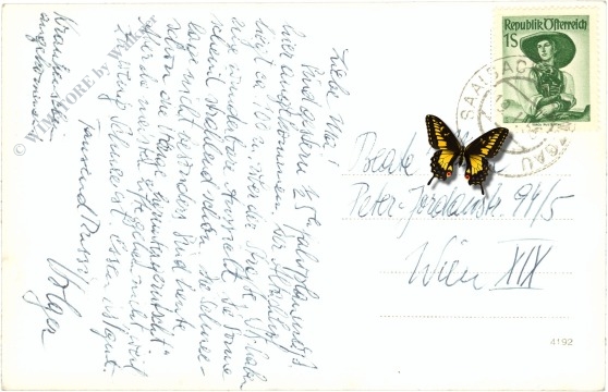 saalbach hinterglemm, altachhof