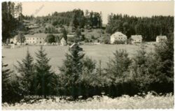 neydharting, ortsansicht