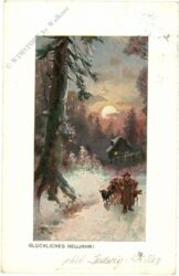 neujahr, spaziergang durch den wald