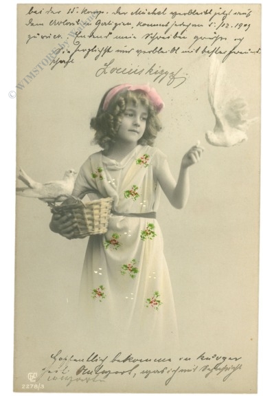 mädchen mit tauben