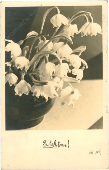 ostern, märzenbecher ostern, märzenbecher