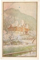 moser, r.: im schneetreiben